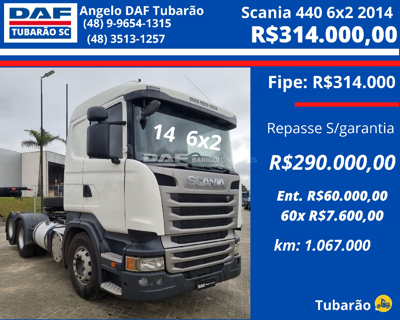 CAMINHAO SCANIA SCANIA R440 Chassis Cavalo 6x2 DAF Barigui Tubarão TUBARAO SANTA CATARINA SC